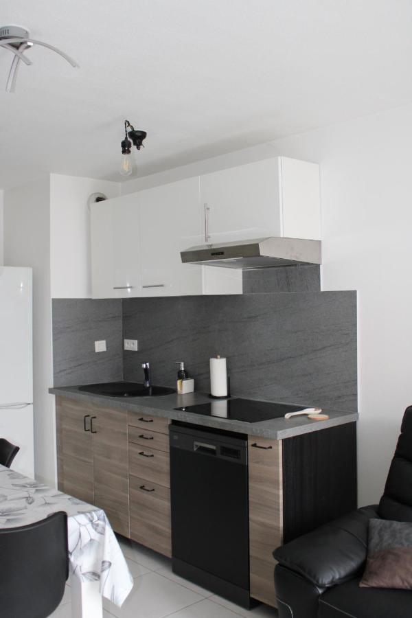 Apartment Confortable Avec Parking Prive Schiltigheim